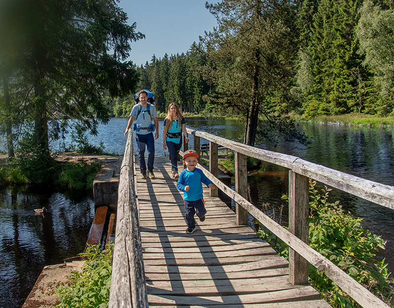 Familie spaziert über einen Holzsteg am Fichtelsee entlang.