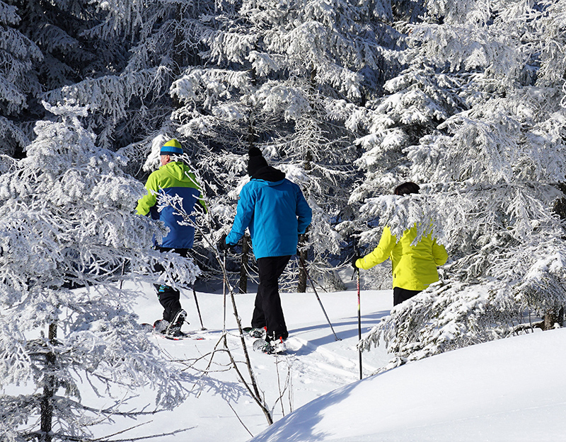Drei Personen beim Schneeschuhwandern durch verschneiten Winterwald in Mehlmeisel im Fichtelgebirge.