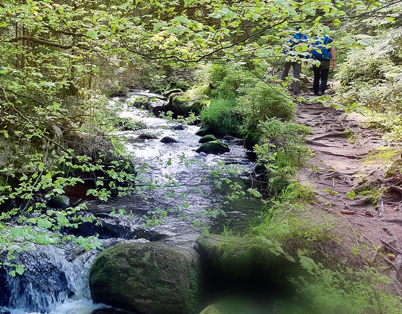 Wanderer auf felsigem Abschnitt des Weißmain-Ochsenkopf-Steigs.