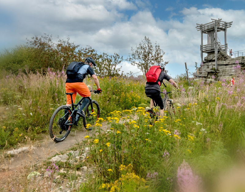 Mountainbiker unterwegs auf Höhenroute am Schneeberg kurz vor dem Aussichtsturm Backöfele.
