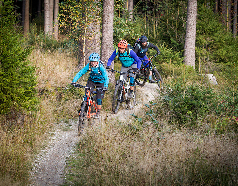 Drei Mountainbiker auf schmalem Naturtrail im Wald