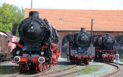Historische Dampflokomotiven vor einem Lokschuppen im Eisenbahnmuseum Neuenmarkt.