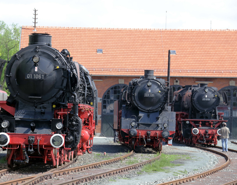 Historische Dampflokomotiven vor dem Rundlokschuppen des Deutschen Dampflokomotiv Museums Neuenmarkt.