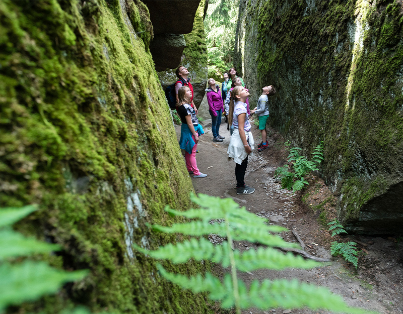 Besuchergruppe im Felsenlabyrinth der Luisenburg zwischen moosbewachsenen, riesigen Granitfelsen.