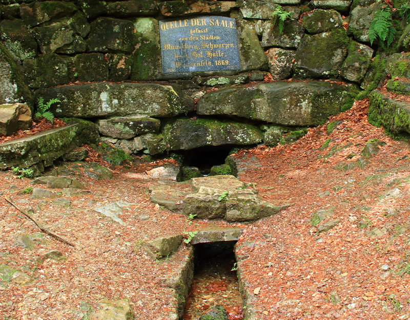 Saalequelle im Fichtelgebirge mit steinerner Quellfassung im Wald.