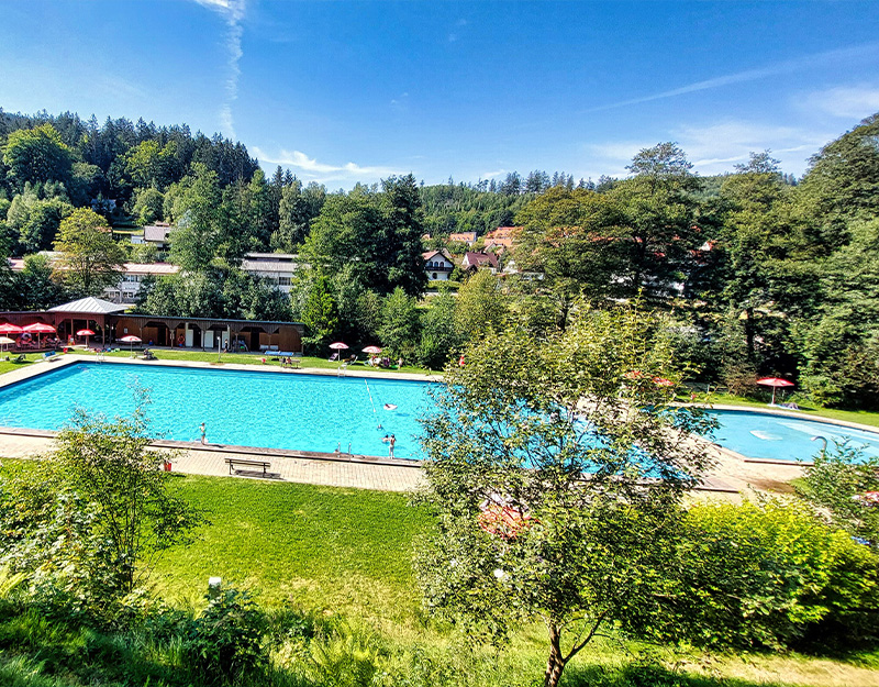 Panoramaansicht des Waldschwimmbads Warmensteinach mit Waldkulisse