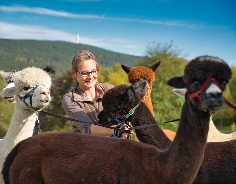 Kerstin Nelkel mit ihren Alpakas kurz vor der geführten Wanderung in Bischofsgrün