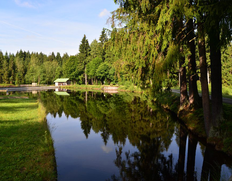 Idyllischer Moorbad-Weiher in Warmensteinach-Fleckl, umgeben von Wald und Ufervegetation