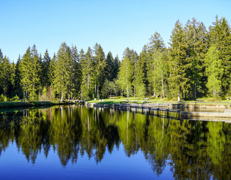 Stillgelegener Weiher mit Holzsteg und Spiegelung der Bäume im Wasser am Moorbad Fleckl