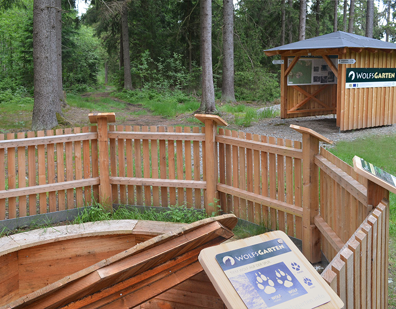 Erlebnisstation im Wolfsgarten mit Holzstegen und Infotafeln im Wald