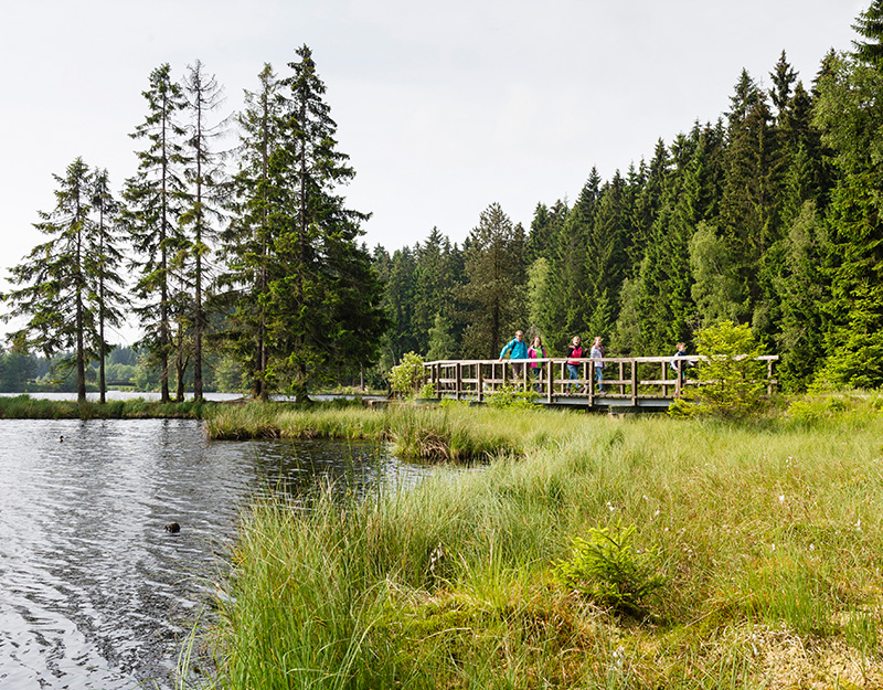 Holzsteg über die Moor- und Wasserlandschaft des Fichtelsees mit Wanderern