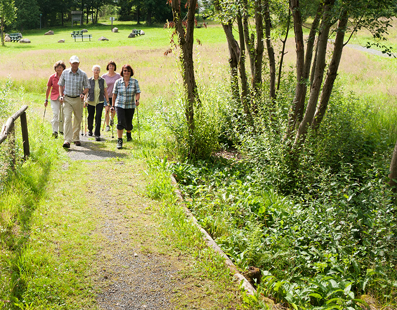 Wandergruppe im Naturkurpark Bischofsgrün auf einem idyllischem Heilklimawanderweg
