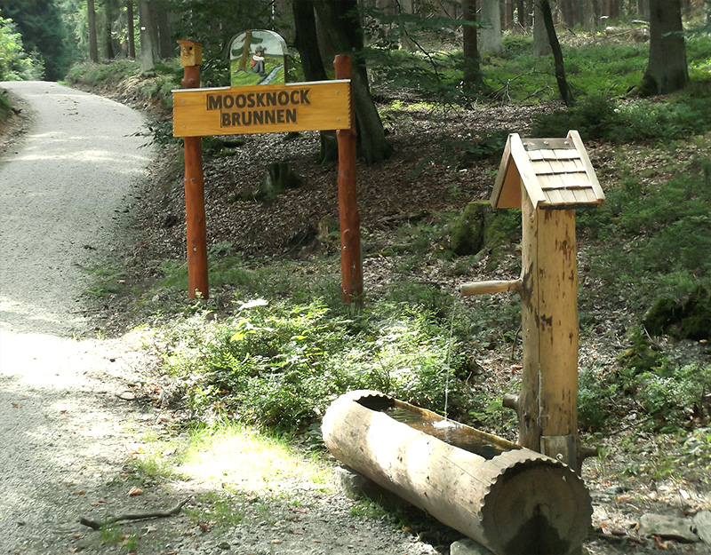 Holzbrunnen am Waldweg mit Schild „Moosknock Brunnen“ bei Fichtelberg im Fichtelgebirge.