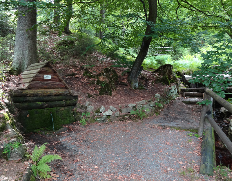 Gesundheitsbrunnen im Wald bei Mehlmeisel mit Holzfassung